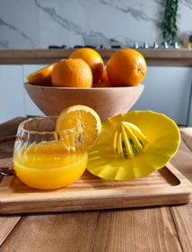 آب مرکبات گیر دستی پلاستیکی هوبی لایف طرح ماهی